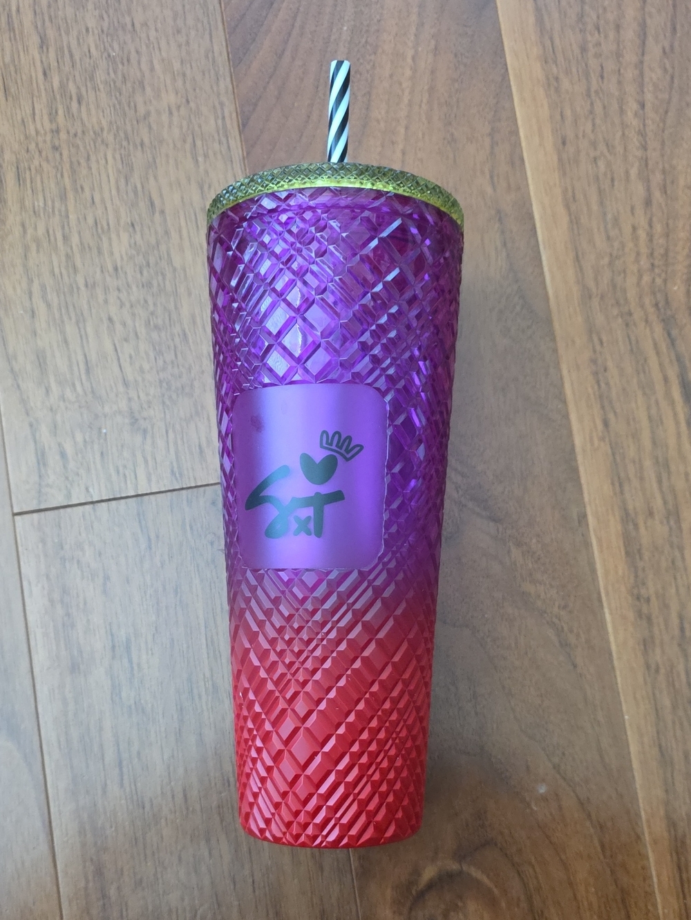 Shae Anrhony Purple to Red Textured Ombre Tumbler with Straw